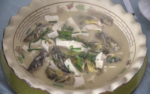 秋天,尋找不一樣的江南古鎮