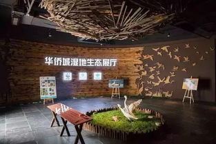 最新 深圳最適合一日游的免費景點,去過5個你就是深圳通