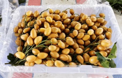 剪枝精品果 云浮郁南時令水果爽甜雞心黃皮,原生態種植,當天新鮮采摘,果味濃,5斤 凈果4 4.5