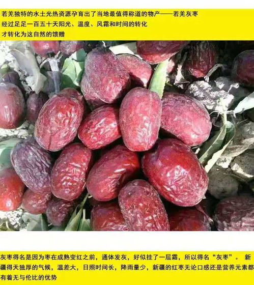 新疆若羌灰棗 原生態健康零食，孕婦兒童的理想選擇