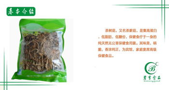 原生態徽菜 古田特產茶樹菇的純天然魅力