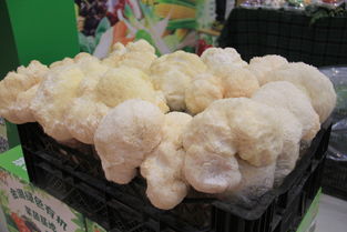 綠博城 網聚黑龍江原生態綠色食品，探索原生態徽菜文化